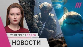 Окружение ВСУ в Курской области. Авиасообщение с США откроют? Акула растерзала туристов из России