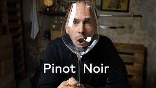 PINOT NOIR - WINE IN 10