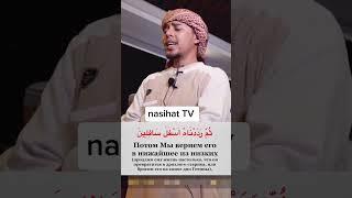 Сура 95 «ат-Тин» - Салим Баханан(nasihat TV). #исломий #nasihat #kuran #quran #quranrecitation #top