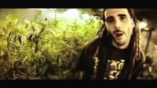 Swan Fyahbwoy - Fuma weed