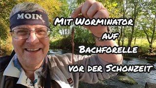 Schonzeit naht! Mit WORMINATOR auf BACHFORELLE.