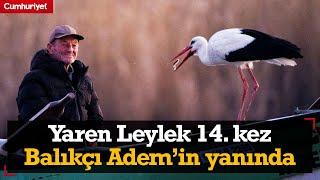 Dostluk kaldığı yerden devam ediyor... Yaren Leylek 14. kez Balıkçı Adem’in yanında