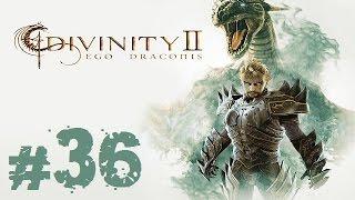 Прохождение Divinity II: Ego Draconis - Часть 36 (Моральная пещера)