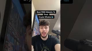 HOW TO FIND & TRACK CRYPTO WHALES YOURSELF! 