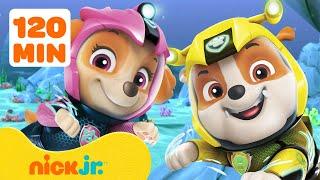 PAW Patrol-reddingen buiten Avonturenbaai!  2 uur | Nick Jr. Nederlands