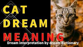 Decoding the Meaning of Cat Dreams: Understanding the Symbolism - Dream Interpretation