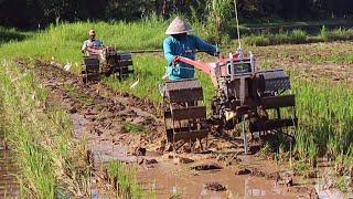 Balapan Traktor  !! 2 Traktor Sawah Bekerja Bersama 1 Lahan