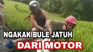 NGAKAK .. BULE JATUH KE SAWAH BAWA MOTOR DI CANGGU, BADUNG, BALI.