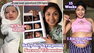 Pregnancy 2nd Trimester-Baby Boy Symptoms Baby kick Food Craving placenta position