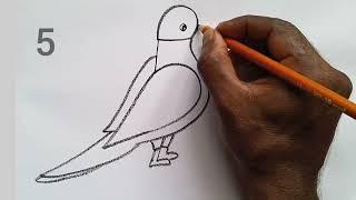 how to draw parrot drawing easy step by step@Aarav Drawing Creative