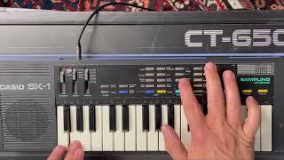 Is The Casio SK-1 a perfect entry into sampling or 80s Nostalgia in a portable keyboard