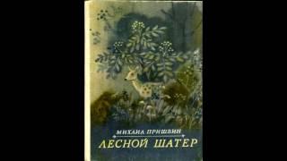 Михаил Пришвин   Лесной шатёр аудиокнига