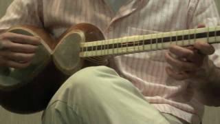 Persian Traditional Music: Spring in Sorrow - بهار غم انگیز