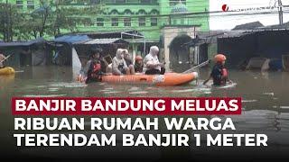 Banjir Rendam Tujuh Desa di Bandung Selatan, Aktivitas Warga Lumpuh | OneNews Update