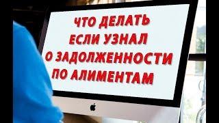 Что делать если узнал о задолженности по алиментам и Как ее погасить правильно