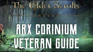 Arx Corinium - Veteran Dungeon Guide - The Elder Scrolls Online