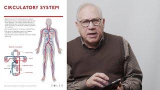 NEW! Body Systems Scan