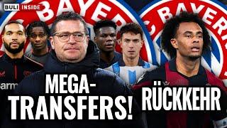 Max EBERL plant MEGA-TRANSFERS bei BAYERN! Joshua ZIRKZEE vor RÜCKKEHR!