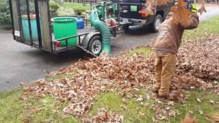 Fall clean up witn Billygoat leaf vacume