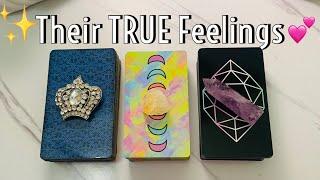 ️What are Their TRUE feelings for you?️Pick a Card Love Tarot Reading