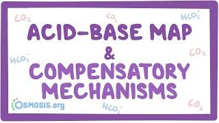 Acid-base map and compensatory mechanisms