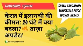 13 फरवरी 2025: केरल में इलायची की कीमत: 24 घंटे में क्या बदला?  ताज़ा अपडेट! | Cardamom Wholesale