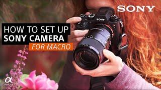 How To Set Up Your Sony Camera For Macro | Sony Alpha Universe