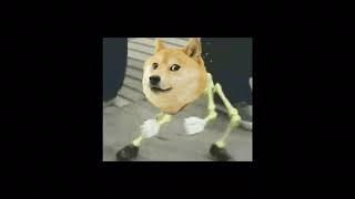 Spooky doge with fabulous dancing skillz