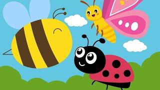  Butterfly Ladybug Bumblebee - Song For Kids