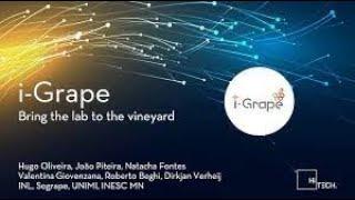 i-Grape - Il vigneto SMART