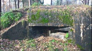 Bunkry z czasów wojny przetrwały do tej pory ukryte w Polskich lasach !!