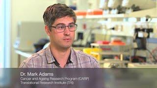 RNAi Products—Translational Research Institute, Australia