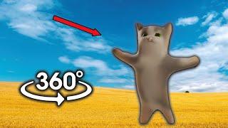 Happy Happy Cat But It's 360 Degree Video