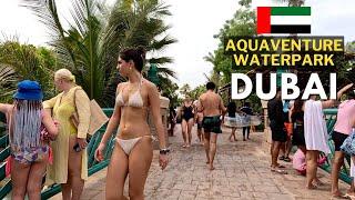  Dubai's Biggest Water Park | New Year celebrate | Atlantis Aquaventure Waterpark