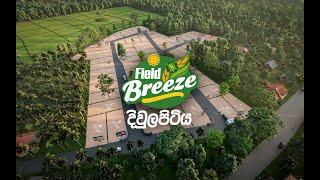 Field Breeze – Divulapitiya Lands for Sale | දිවුලපිටිය වෙල්යායට මුහුණලා ඉඩමම ලක්ෂ 19 සිට