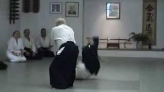 Aikido-The Art of Peace and Harmony