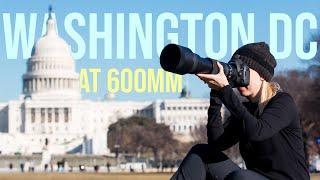 The Sigma 150-600 mm contemporary lens in Washington, DC