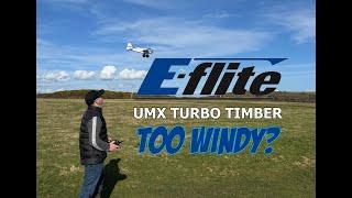 E-FLITE UMX TURBO TIMBER HOVERING IN THE WIND - TOO STRONG WIND?