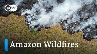 Amazon wildfires: Bolsonaro rejects aid by G7 leaders | DW News