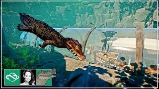  Underwater tunnel Dwarf Caiman habitat | Safari Boat Ride | Planet Zoo |