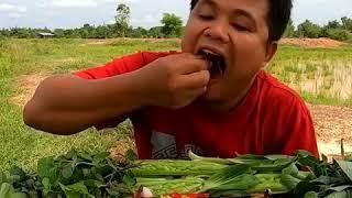 Sikat Habis Makan Gurita dengan Lalapan super pedas 