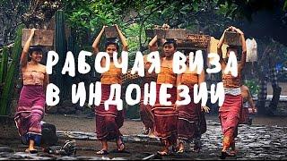 РАБОЧАЯ ВИЗА НА БАЛИ (KITAS)  BaliBlogger