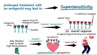 Drug Tolerance