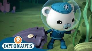 #StayHome Octonauts - Captain Barnacles Is in Trouble! | Compilation | Cartoons for Kids