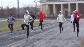 Московский Беговой Клуб фартлек FARTLEK как бегать фартлек что такое фартлек