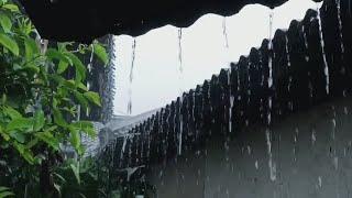 Very Heavy Rain in My Village, Suitable for Sleeping, Insomnia - Indorain