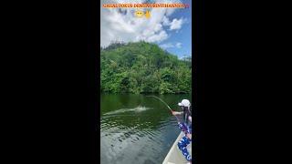 Cewe Cantik Mancing Narik Ikan Besar ‼️ #shorts #shortvideo