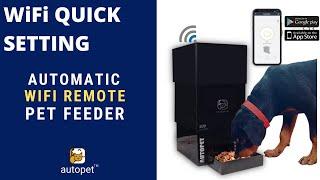 Autopet | Quick Wifi Setting | Automatic Wifi Remote Cat Dog food dispenser