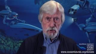 Please consider a donation to help support the work of Ocean Futures Society