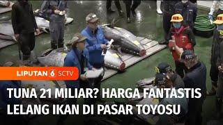 Ikan Tuna Seharga 21 Miliar Rupiah! Apa yang Membuatnya Begitu Spesial? | Liputan 6